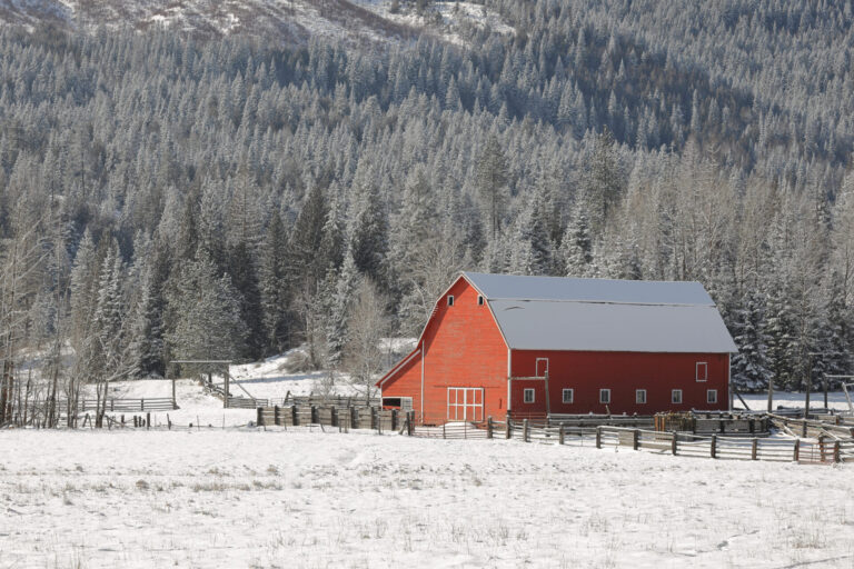 Street view photo of a completed barn roof project done by Russell Quality Roofing
